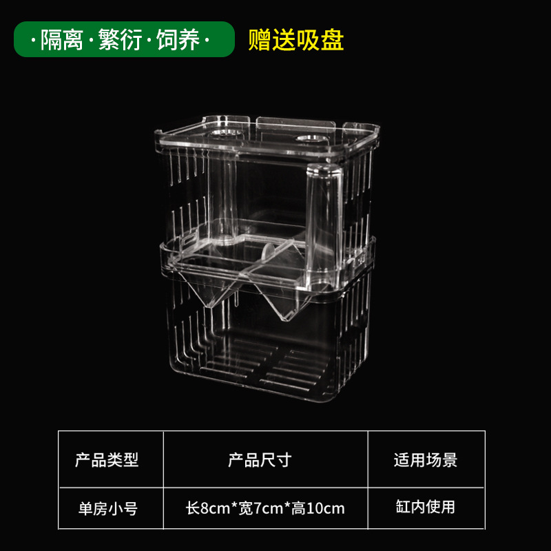 孔雀繁殖斗鱼鱼缸鱼缸隔离孵化器