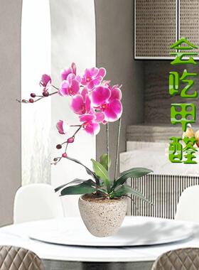 和家PU手感蝴蝶兰彷真花套装假花绢花盆栽整体花艺客厅光触媒绢花