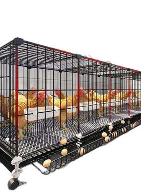 鸡笼子殖家用室外特大号养笼鸡舍农鸡鸭村新型养场笼UTM鹅笼