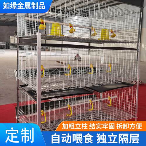定制立式肉鸡笼H型雏鸡肉鸡两用笼具层叠式含拖粪盘鸡笼家用鸡笼