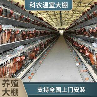 CXW大棚骨全养殖大棚全套种植大棚温室养鸡羊猪套牛棚菜大棚架钢