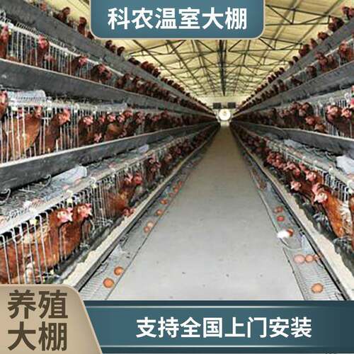 大棚骨架全套养殖大棚全套种植大棚温室养鸡羊猪牛棚蔬菜大棚钢管