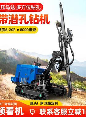 悬臂潜孔钻机多功能桩工机械光伏打桩机凿岩钻孔履带全地形钻机