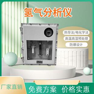防爆热导氢气分析仪火电厂化肥厂在线H2分析仪机柜氢气浓度检测仪