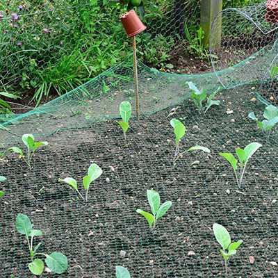 2x10M New Garden Bug Insect Netting Insect Barrier Bird Net