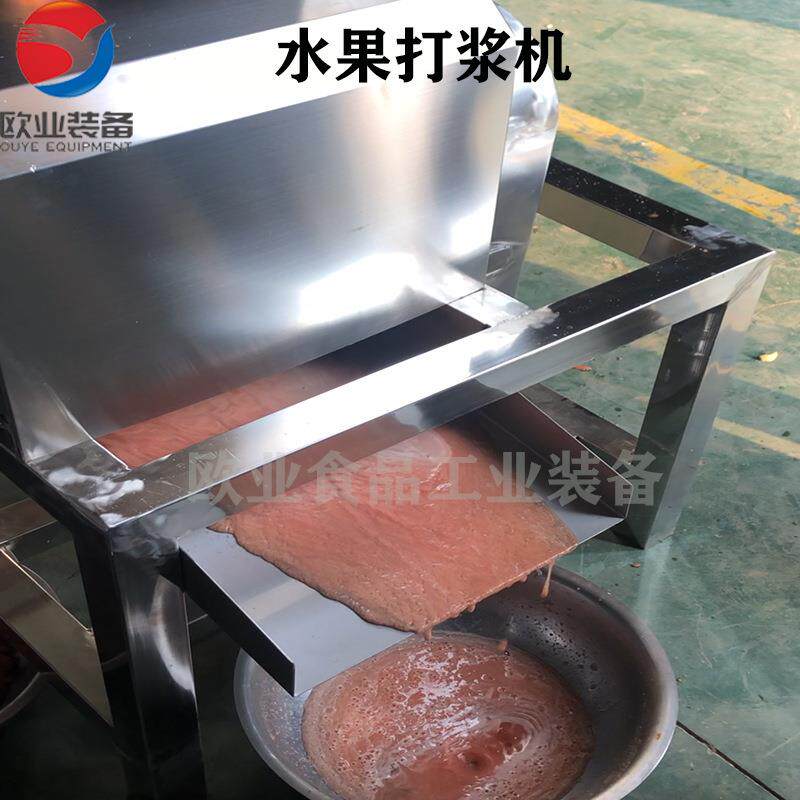 水果打浆机 全自动西红柿破碎机 梨子果肉分离机