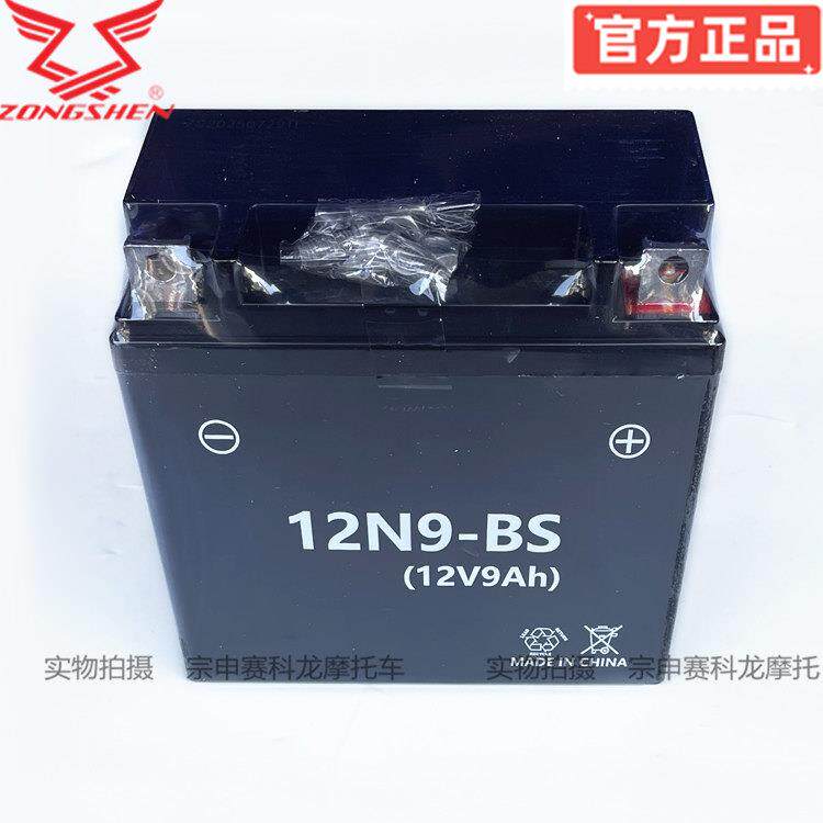 宗申赛科龙电瓶RX1电池RC250蓄电池RE2胶体电池250R原厂12N9-BS