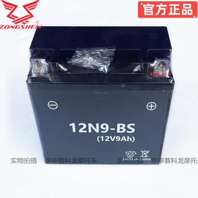 宗申赛科龙电瓶RX1电池RC250蓄电池RE2胶体电池250R原厂12N9-BS