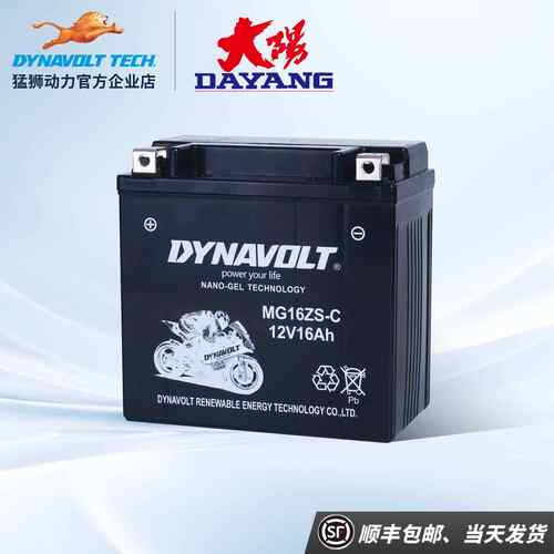 适用大阳摩托车DY125T-28H/29H ADV150T-36 V锐150T-30/30C电瓶