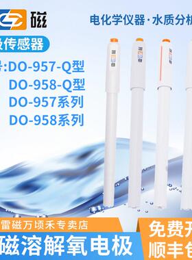 雷磁专卖店DO-957/958-Q-S-BF-L溶氧仪电极607A/608溶解氧监视器