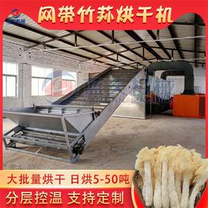 网带式竹荪烘干机全自动竹肉网纱菌干燥机大型长裙竹荪烘干设备