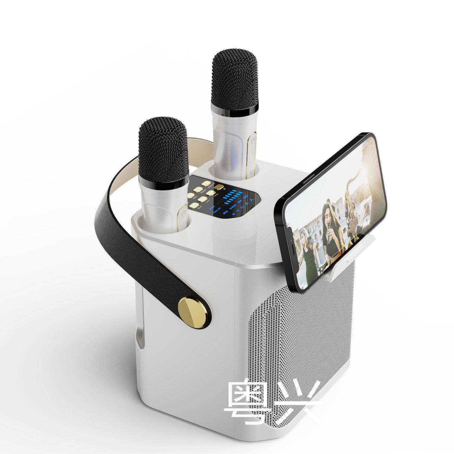 户外K歌蓝牙音箱大音量家庭唱K双话筒带麦K歌All蓝牙音响