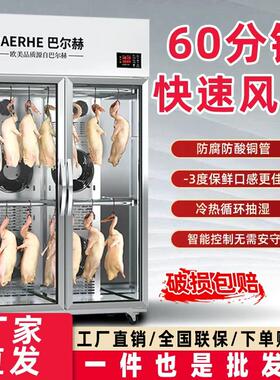 商用烤鸭风干柜不锈钢设计 智能双门晾胚柜1800L巴尔赫除湿吹干机