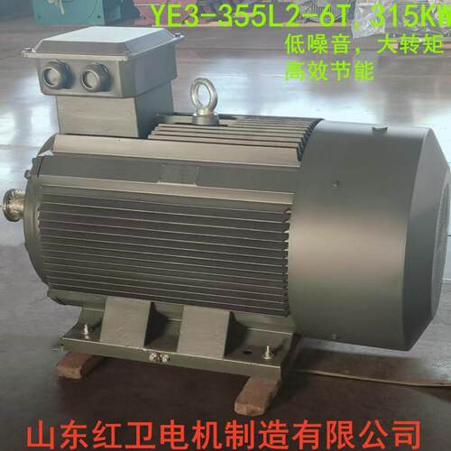 山东厂家直供YE3-355L2-6/315WYE3系列三相异步电动机质保