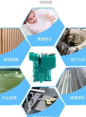 抽吸水泵抽水机农用电动单相微水泵ODD37W家用清水泵Z型DB自泵220