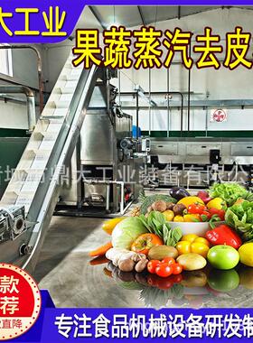 隆坤蒸汽去皮机全自动黄桃葡萄加工设备头生产线蒸汽脱皮机厂家