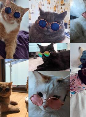 Pet Cat Glasses Dog Pet Product Glasses For Cat Little Dog T
