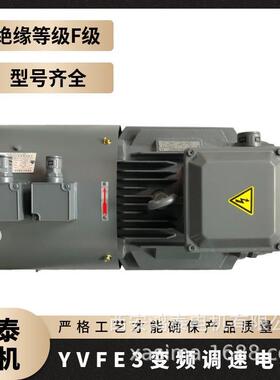 鸿泰低压三相异步电机tYVFE3-132M1-6t4KWt380Vt动力强劲且稳定
