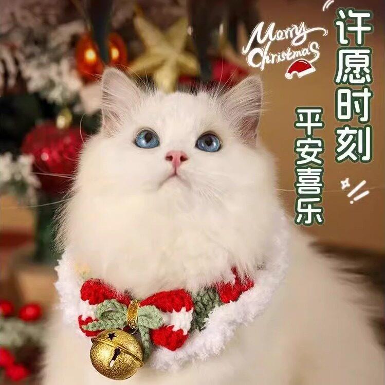 猫咪项圈猫猫圣诞围脖狗狗脖子饰品装饰可爱编织宠物项链领结脖圈
