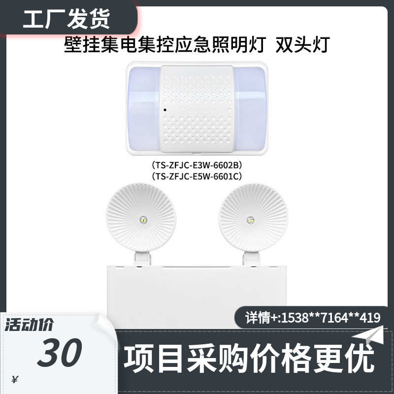 泰和安壁挂集电集控应急照明灯 双头灯6604A/6602B/6601C