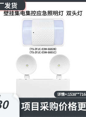 /集泰和照明灯6604a应急/ 电6602b安壁挂控6601c集头灯双