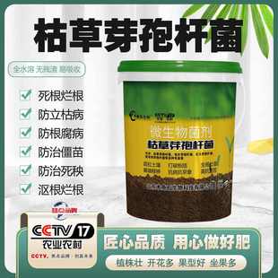 木鱼石水溶肥枯草芽孢菌杆菌生根壮苗枯黄萎白粉专用桶装肥冲施肥
