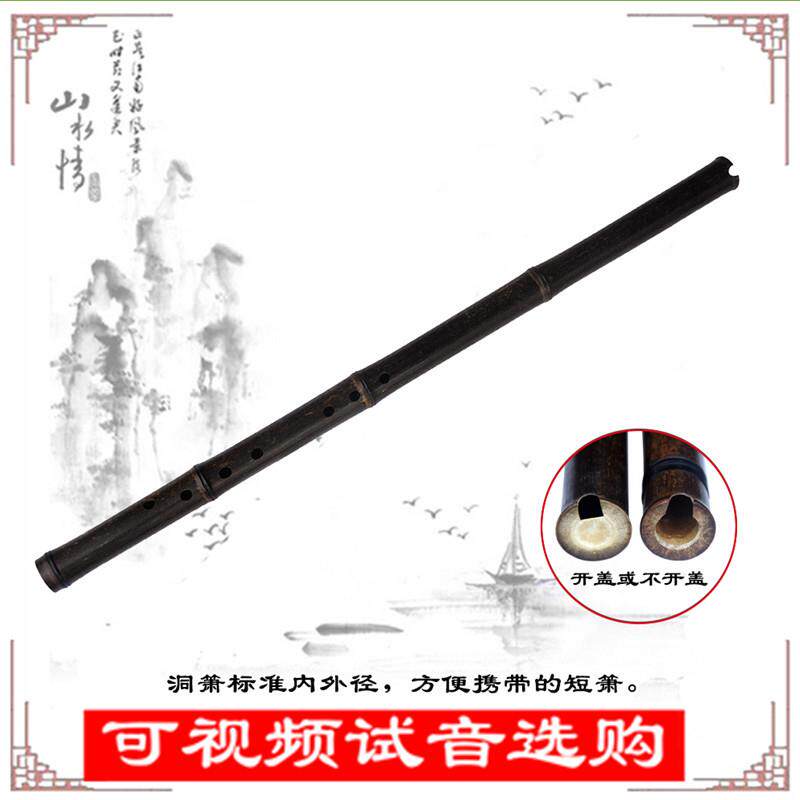 管子先生专业紫竹精品短箫8孔6孔洞萧演奏迷你萧初学入门乐器GF调