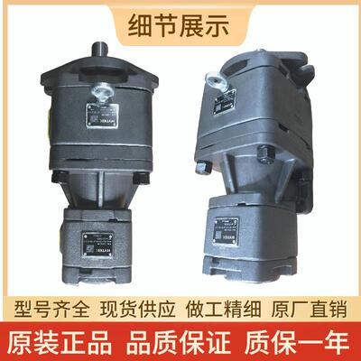 海特克双联串泵HG10 HG11 HG22 HG21-125-50-01R-VPC油压机伺服泵