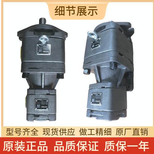 海特克双联串泵HG10 HG11 HG22 HG21-125-50-01R-VPC油压机伺服泵