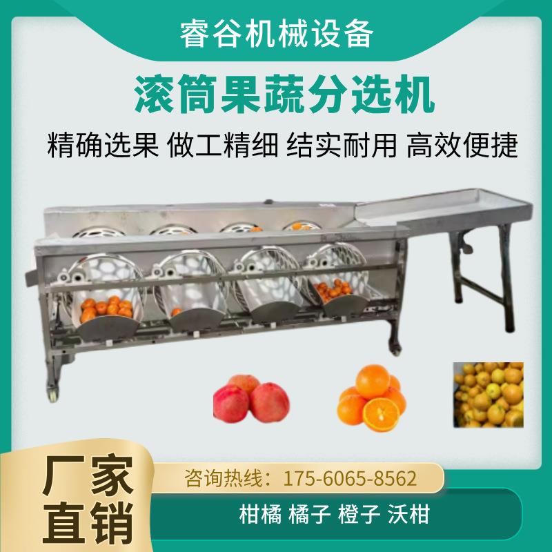 滚筒水果分选机分级机橙子柑橘贡柑类机筛分机椭圆形蔬果分级设备