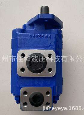 P124B182XDZA15-54PBZA02-1齿轮泵