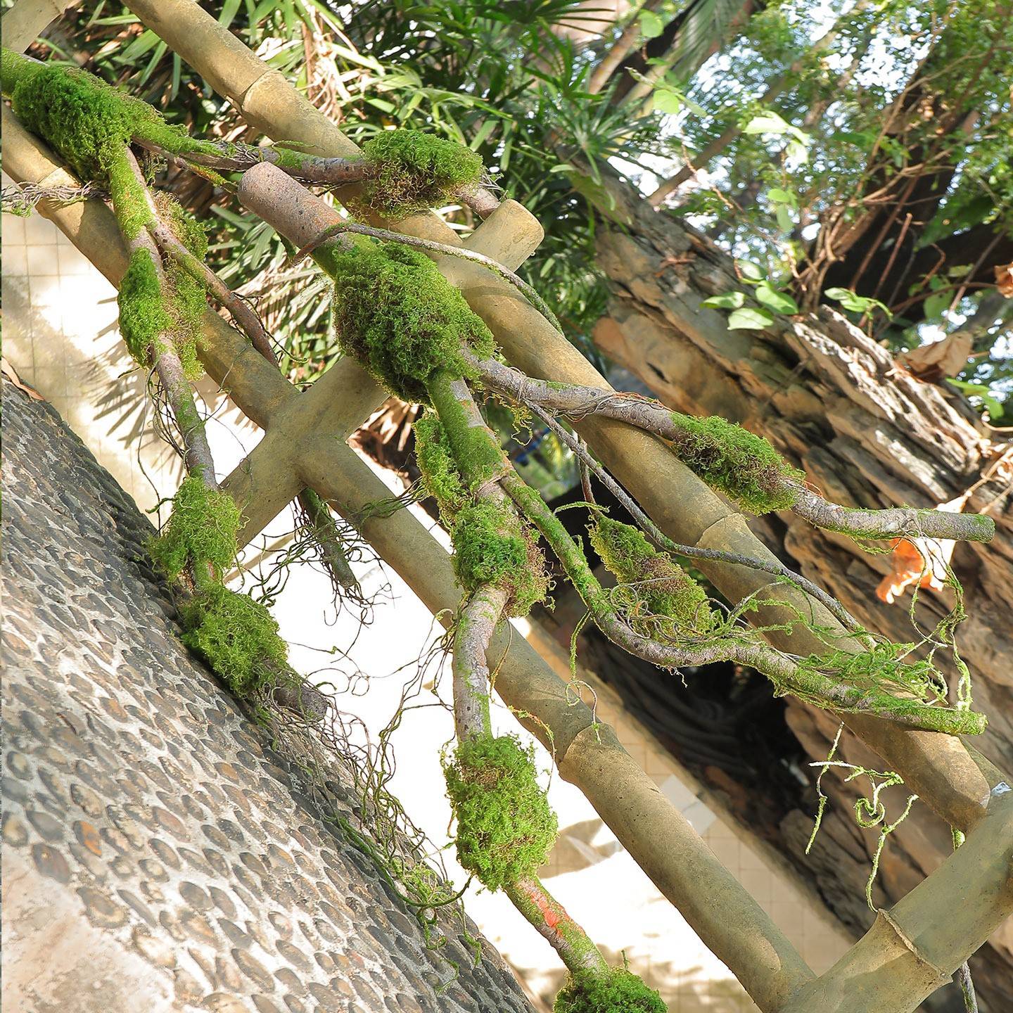 仿真枯藤树藤苔藓室内工程造景植物墙摆件景观装饰假绿植家居装扮