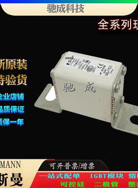 巴斯曼170M4810 170M4811 170M4812 厂家直供量大价优 方体熔断器