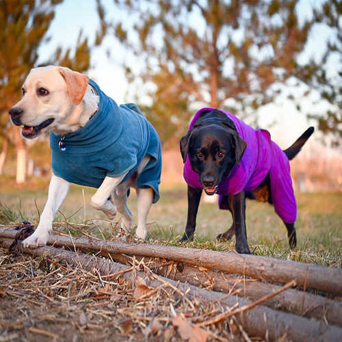 Puppy Clothes宠物衣服狗狗服装宠物浴袍狗狗小批量