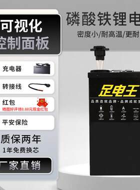 足电王电动车锂电池48V大单体60V外卖专用72V30A电摩磷酸铁锂电池
