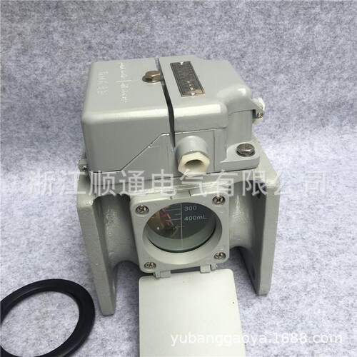 QJ2-0QJ50QJ4-50-8/80变压器3保护装置瓦斯气体继电器沈阳SXM玉国