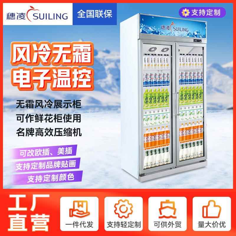 冰柜无霜风冷展示柜便利店冰箱立冷藏展示柜