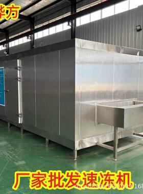 .隧道连续急速冷冻设备鹰嘴豆蒸煮冷却线番石榴果肉速冻机器