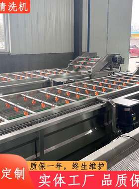全自动海鲜去泥清洗设备大型食堂洗菜机水果根茎类蔬菜气泡清洗机