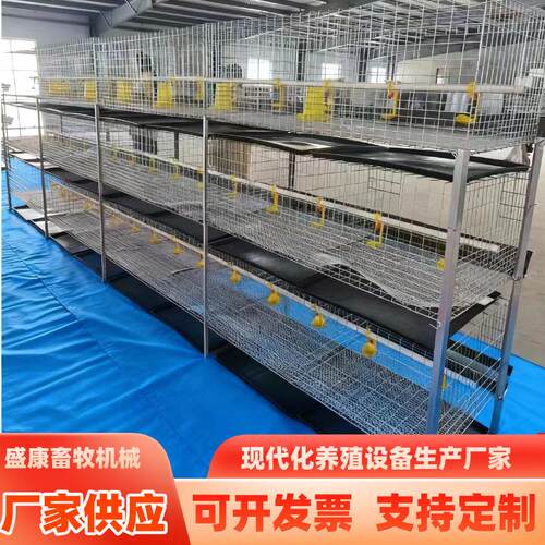 养殖鸡舍三层立体肉鸡笼养殖设备粪盘肉鸡笼畜牧养殖养鸡肉鸡笼