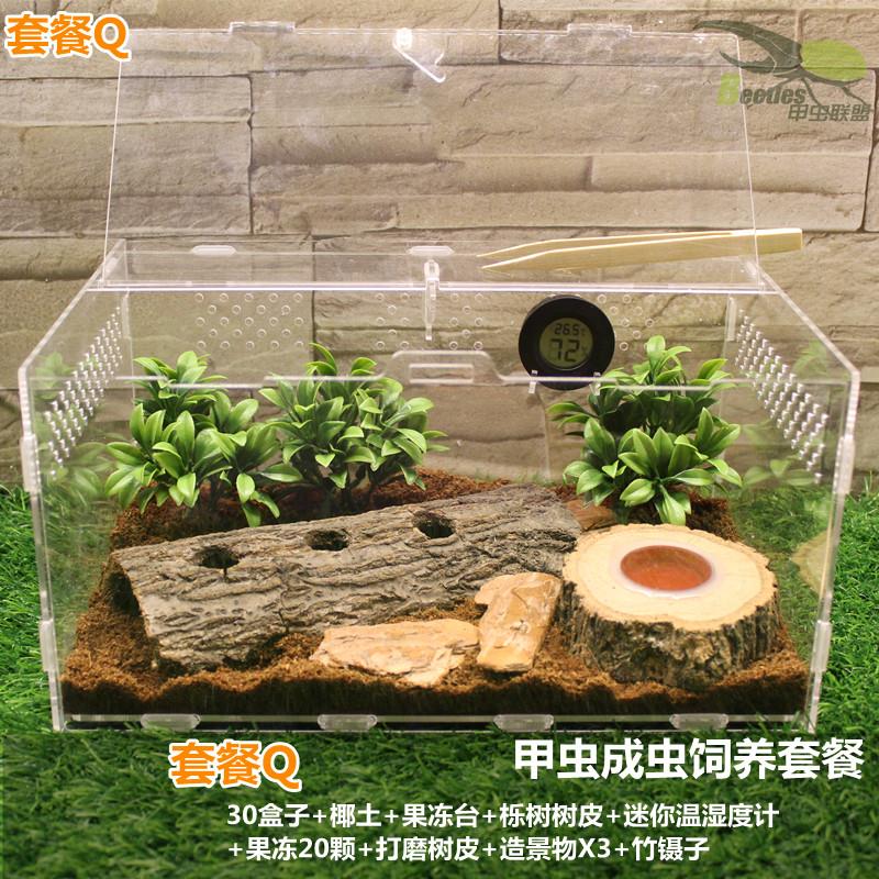 活体成虫甲虫独角仙饲养盒宠物箱压克力蜘蛛守宫锹形虫造景爬宠