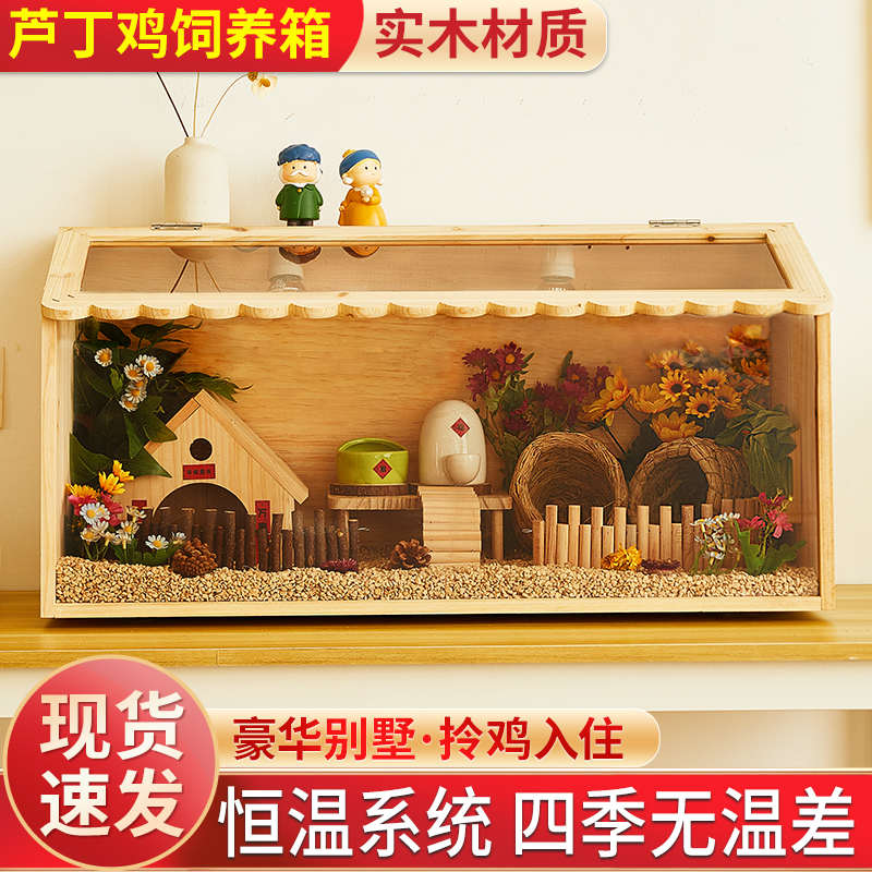 宠物饲养笼子卢箱子冬季小鸡丁箱别墅专用鸡鸡窝造景养殖实木