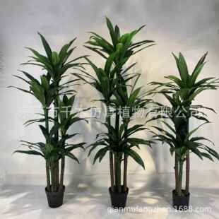 仿真假绿植办公室盆栽绿色黄边大富贵巴西铁大叶茂盛盆景植物室内