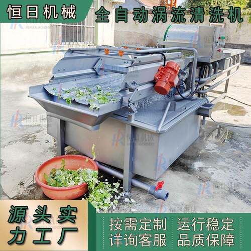 芹菜段涡流清洗机全自动绿叶蔬菜清洗机不锈钢竹笋春笋清洗设备