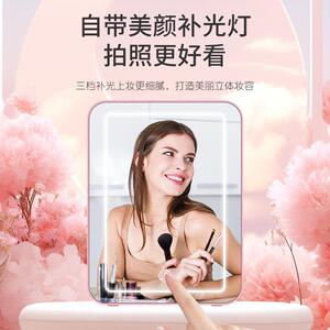 车载美妆冰箱补光灯化妆镜家用护肤品保鲜4L迷你小冰箱车用冷暖箱