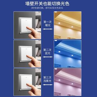 TRIAC三色变光家用灯带led灯条超亮220V户外防水变色软灯带条客厅