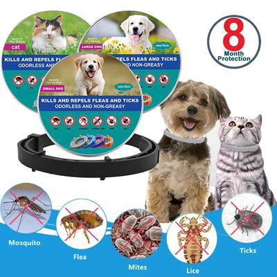Anti Flea Ticks Collar For Cats Dog Pet Antiparasitic 8 Mont