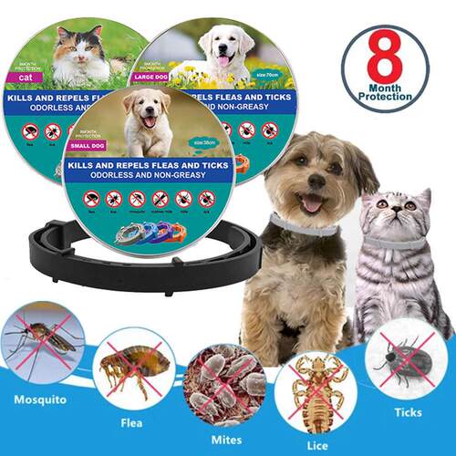 Anti Flea Ticks Collar For Cats Dog Pet Antiparasitic 8 Mont