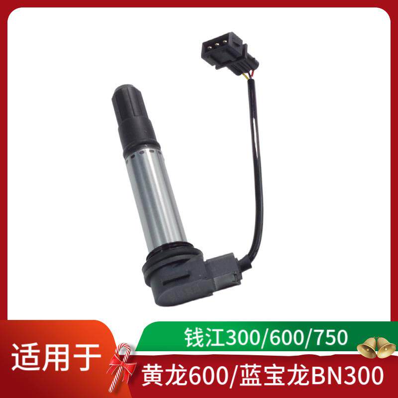 适用于黄龙600/300蓝宝龙600飓风倍力尼钱江点火线圈高压包点火器