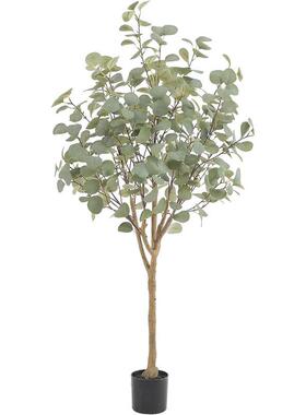 仿真尤加利树直销仿真绿植金钱树落地假树盆栽北欧款绿植盆栽